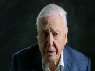 David Attenborough: Một Cuộc Đời Trên Trái Đất Tập Full