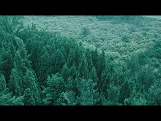 Đêm Nơi Thiên Đường Full